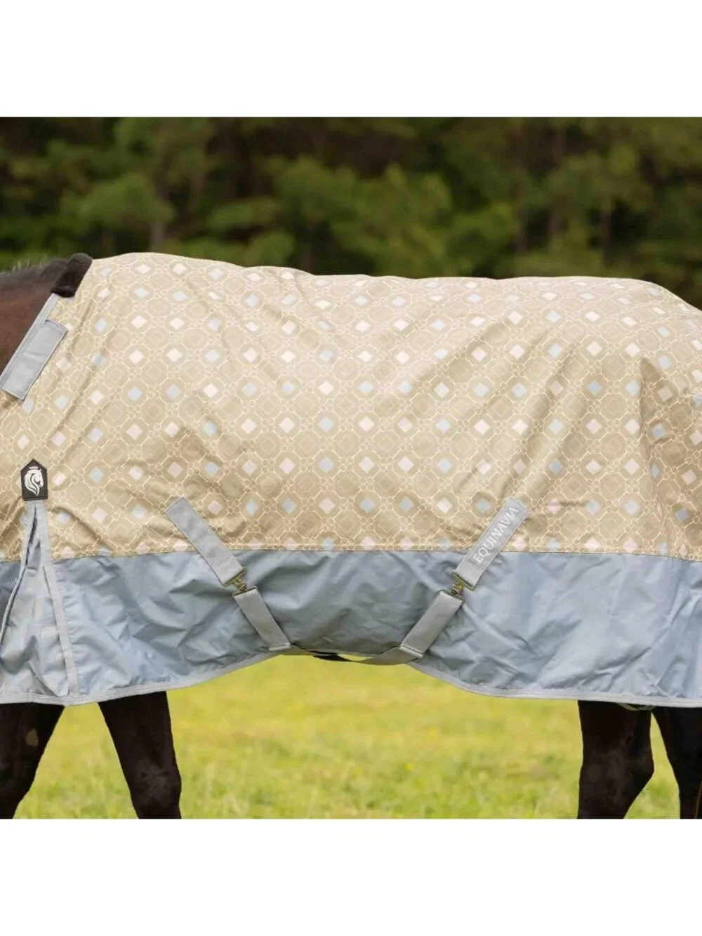 Lightweight Waterproof Turnout Blanket, 100g Rain Sheet for Horses, Durable